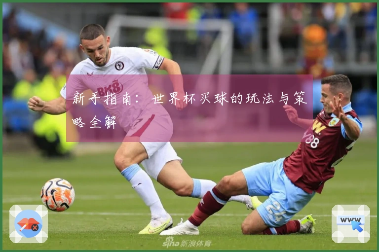 新手指南：世界杯买球的玩法与策略全解