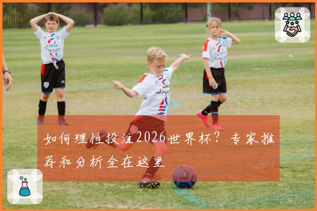 如何理性投注2026世界杯？专家推荐和分析全在这里