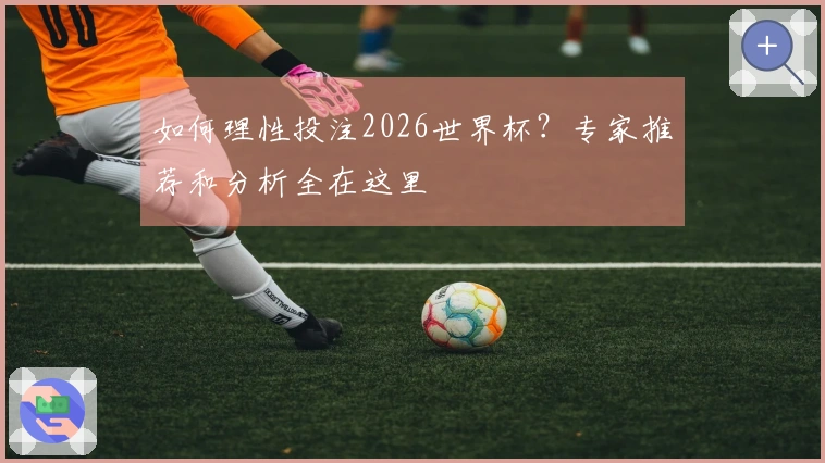 如何理性投注2026世界杯？专家推荐和分析全在这里