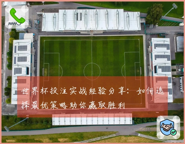 世界杯投注实战经验分享：如何选择最优策略助你赢取胜利