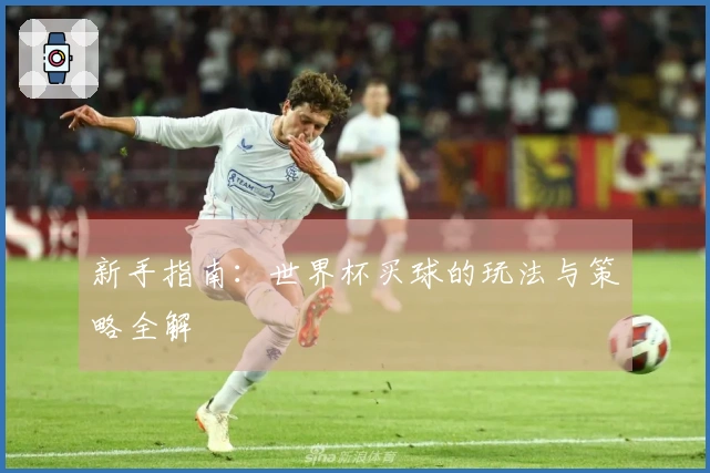 新手指南：世界杯买球的玩法与策略全解